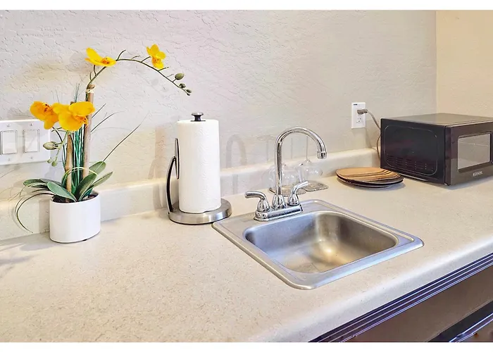 Apartment Spacious Desert Minutes To Phoenix Fun - Pet Friendly! Avondale